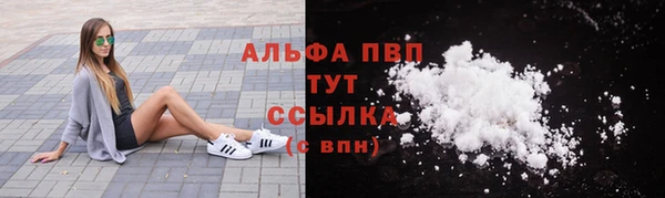 spice Кинешма
