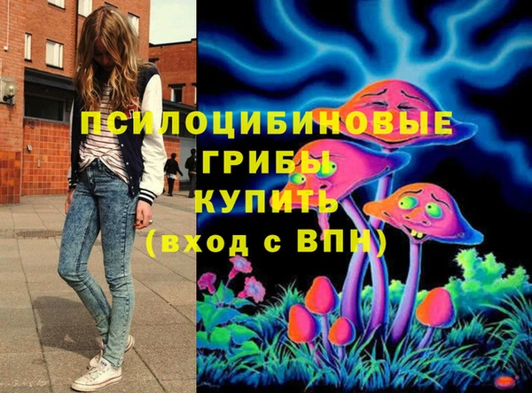 шишки Рославль