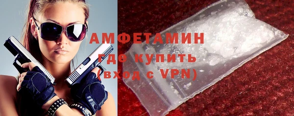 шишки Рославль